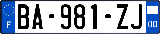 BA-981-ZJ