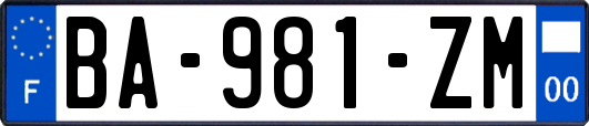 BA-981-ZM