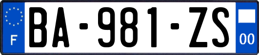 BA-981-ZS