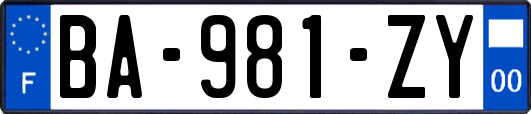 BA-981-ZY