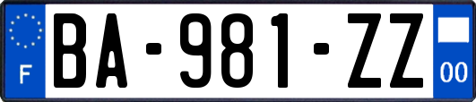 BA-981-ZZ