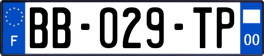 BB-029-TP