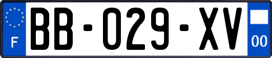 BB-029-XV