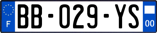 BB-029-YS
