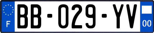 BB-029-YV