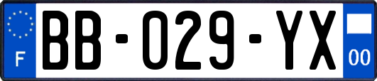 BB-029-YX