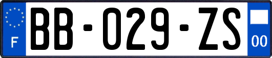 BB-029-ZS