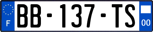 BB-137-TS