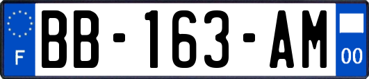 BB-163-AM