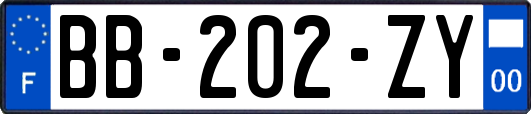 BB-202-ZY
