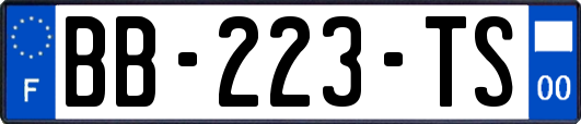 BB-223-TS