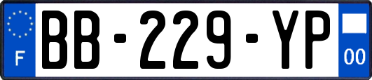 BB-229-YP