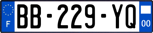 BB-229-YQ