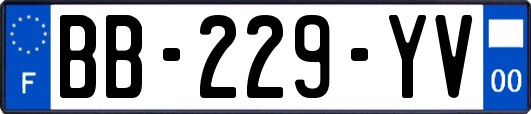 BB-229-YV