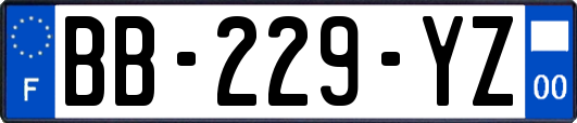 BB-229-YZ
