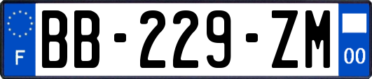 BB-229-ZM