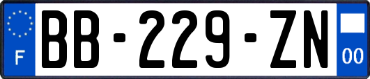 BB-229-ZN