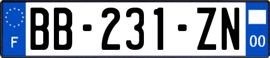 BB-231-ZN