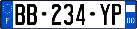 BB-234-YP