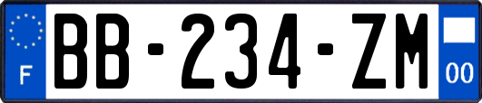 BB-234-ZM