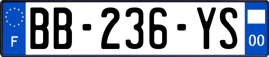 BB-236-YS