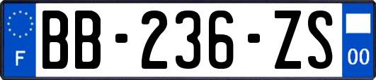 BB-236-ZS