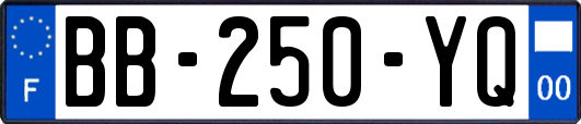 BB-250-YQ