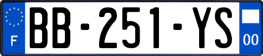 BB-251-YS