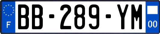 BB-289-YM