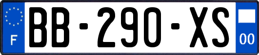 BB-290-XS