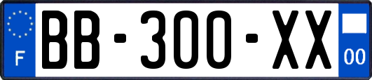 BB-300-XX