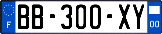 BB-300-XY