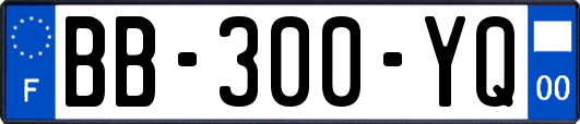 BB-300-YQ