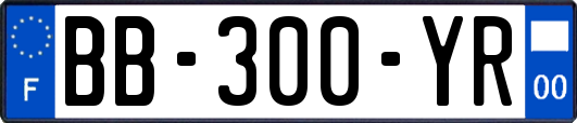 BB-300-YR