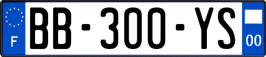 BB-300-YS