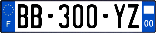BB-300-YZ