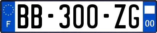 BB-300-ZG