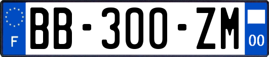 BB-300-ZM