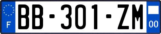 BB-301-ZM