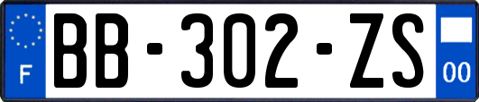 BB-302-ZS