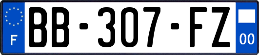 BB-307-FZ