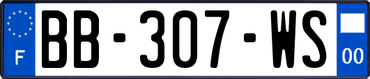 BB-307-WS