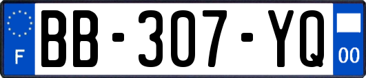 BB-307-YQ