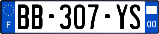 BB-307-YS