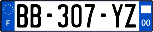 BB-307-YZ