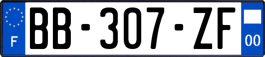 BB-307-ZF