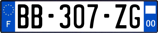 BB-307-ZG