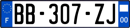 BB-307-ZJ