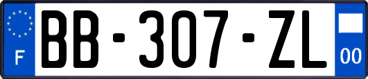 BB-307-ZL