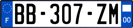 BB-307-ZM